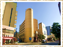 �K�򓰐��̉@�ʐ^